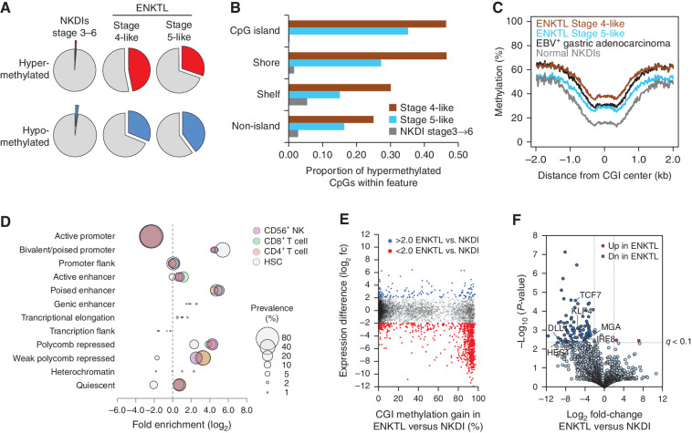 Figure 3. Altered DNA methylation in ENKTL involving remarkable hypermethylation of poised, developmentally regulated genes. A, Total number of CpGs hyper- and hypomethylated (gain, loss >20%) in ENKTL versus stage-matched NKDIs. B, The proportion of CpGs within CpG islands and subregions (shores and shelves) that are hypermethylated >20% versus NKDIs, separated by ENKTL subgroup. Changes that occurred during NK-cell development (NKDI stage 3–6) are also indicated. C, Occupancy plot showing methylation of all CpG islands in the genome. ENKTL subgroups are shown separately along with EBV+ gastric carcinoma and NKDIs for reference. Methylation is averaged across all samples within each group (NKDI; n = 21, ENKTL stage 4-like; n = 21, ENKTL stage 5-like; n = 7, EBV+ gastric adenocarcinoma; n = 25). D, Enrichment of hypermethylated CpGs within chromatin state regions from NK, T, and hematopoietic stem cells (HSC). Fold enrichment/depletion of overlapping differential methylation is indicated on the x-axis and bubble size represents the proportion of the total CpGs either enriched or depleted (prevalence). E, Comparison of the gain of promoter CpG island methylation with the corresponding gene expression change in a stage 4–like ENKTL sample (ENKTL1). F, Volcano plot illustrating gene expression differences between ENKTL and matched stage 4b NKDIs. This comparison comprises n = 3 fresh (non–FFPE-derived) stage 4–like ENKTL samples. Selected genes involved in NK-cell development are indicated.