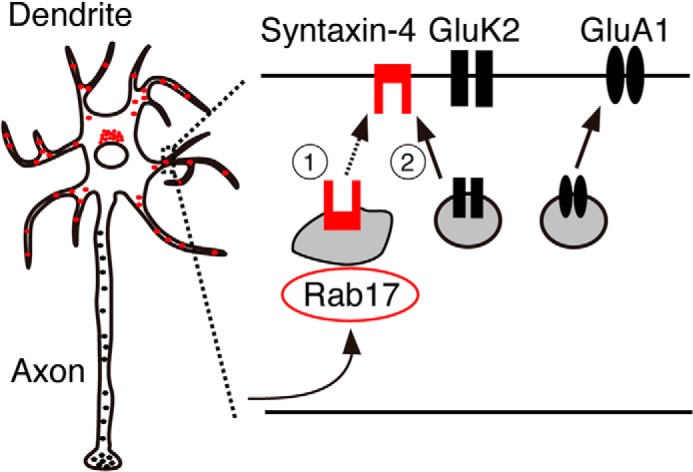 FIGURE 10.