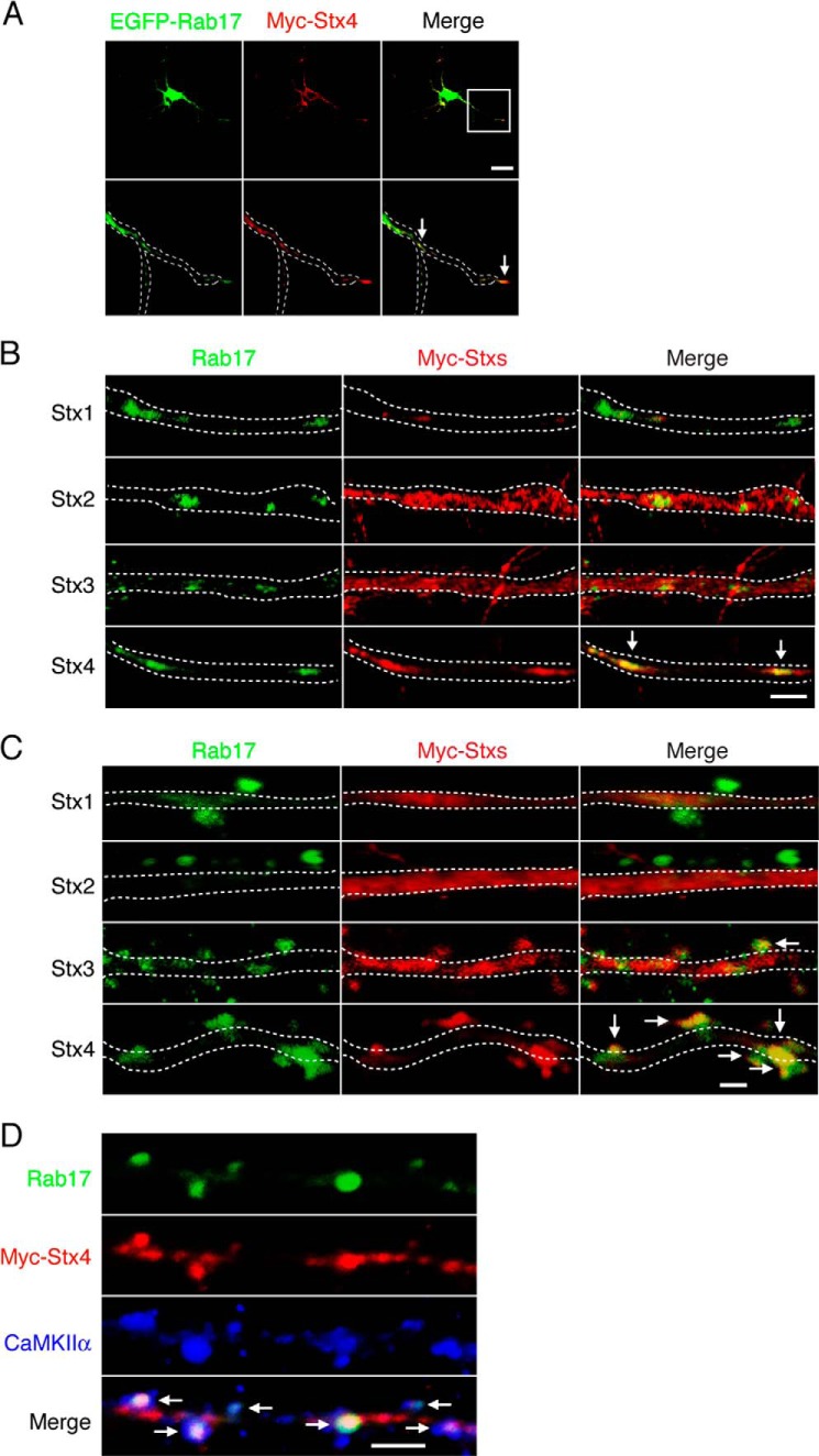 FIGURE 4.