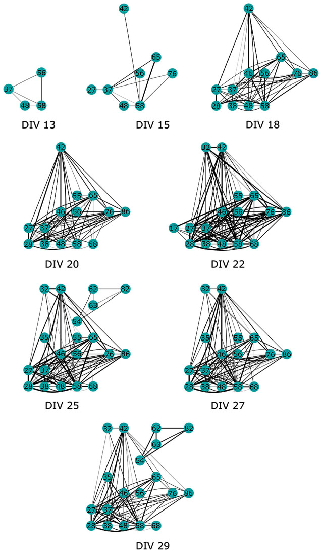 Figure 11