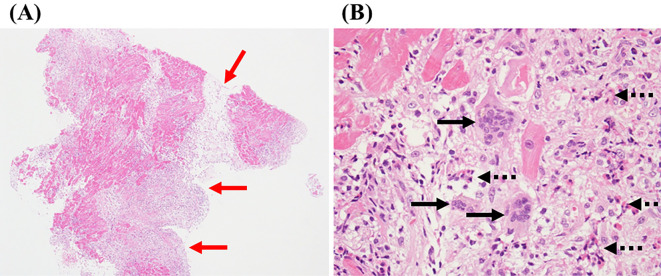 Figure 3.