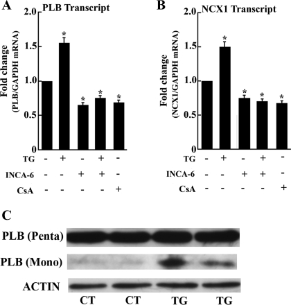 Fig. 6.