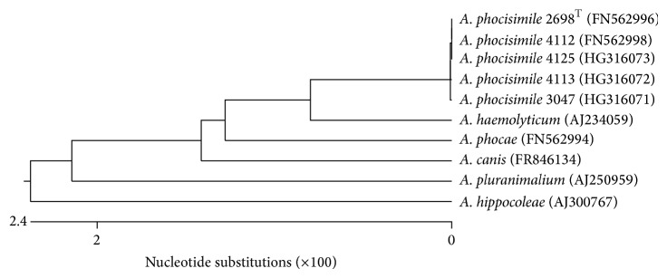 Figure 2