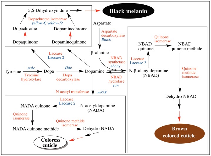 Figure 13