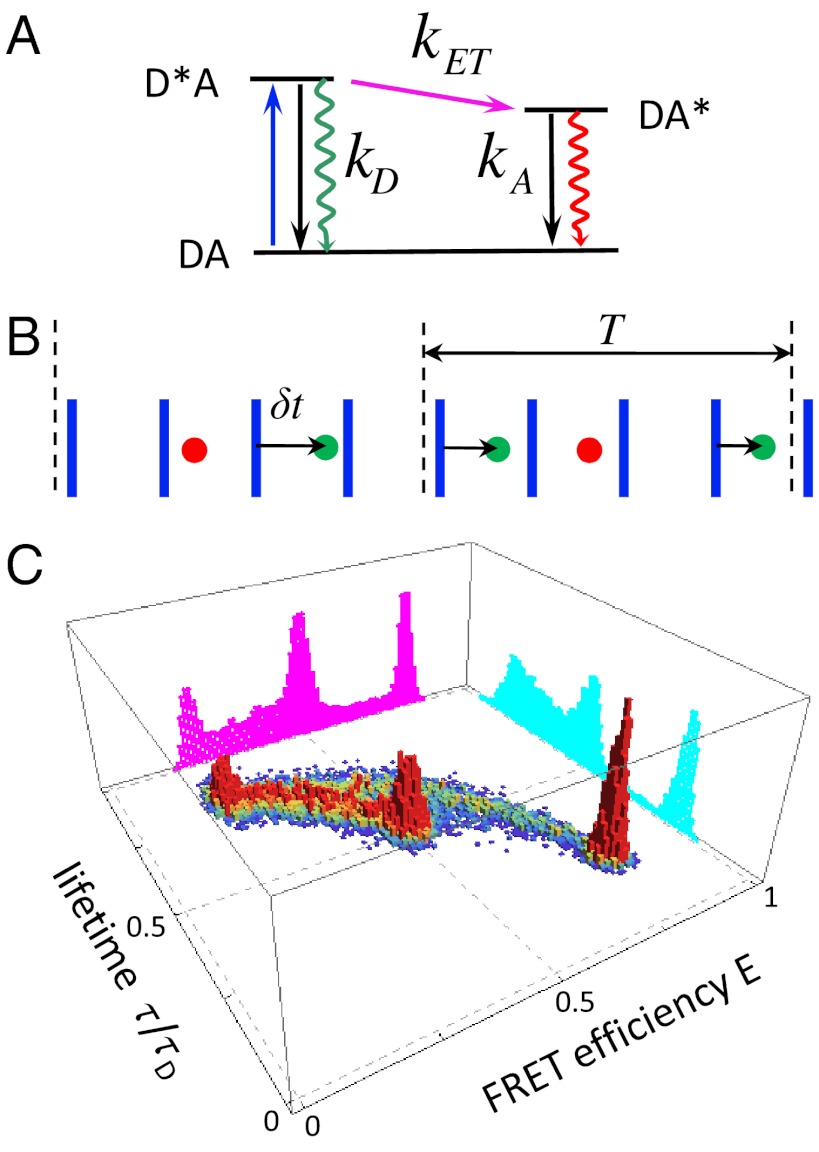 Fig. 1.