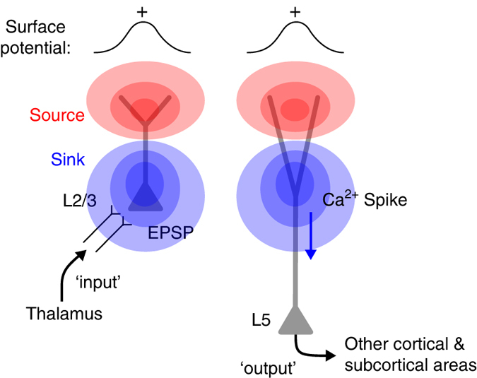 Fig. 8