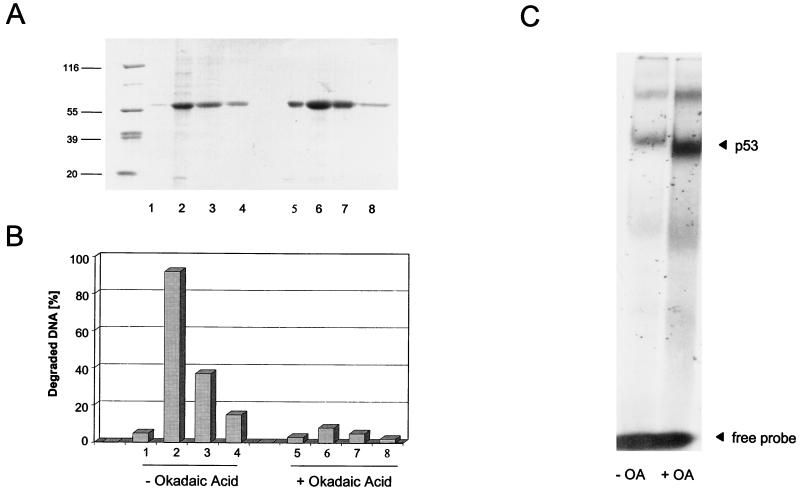 FIG. 9