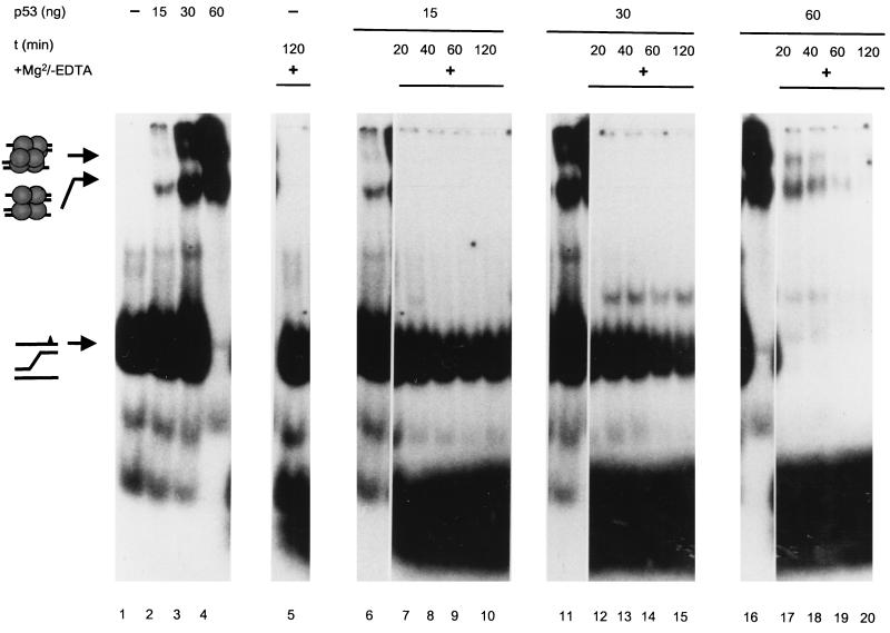 FIG. 11