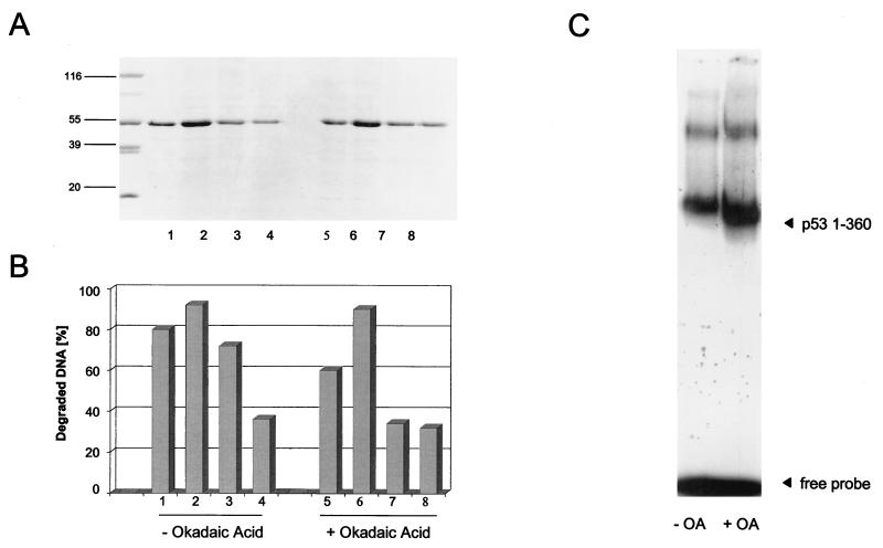 FIG. 10