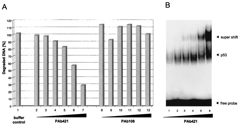 FIG. 8