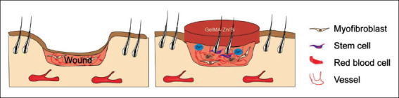 Figure 9.