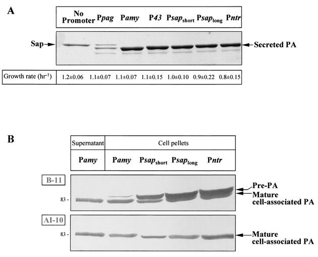 FIG. 6.