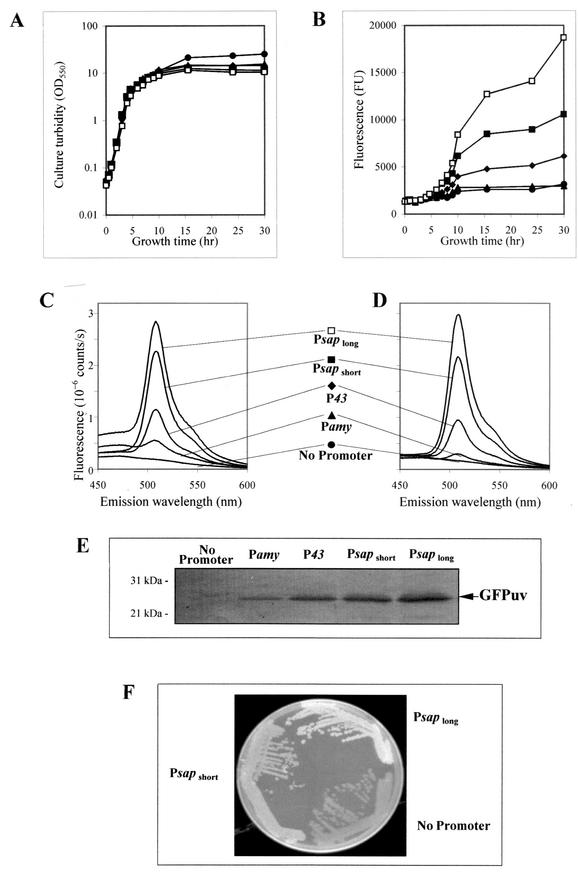 FIG.3.