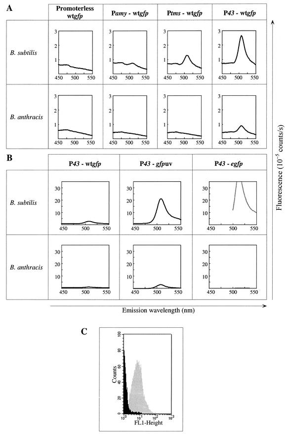 FIG.2.