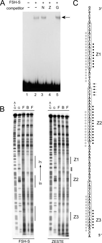 FIG. 6.