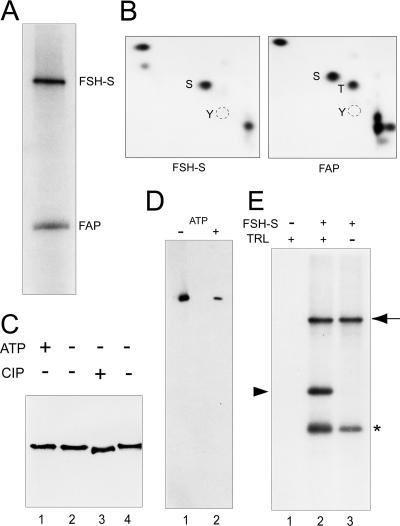 FIG. 8.