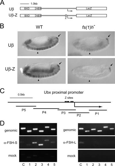 FIG. 7.