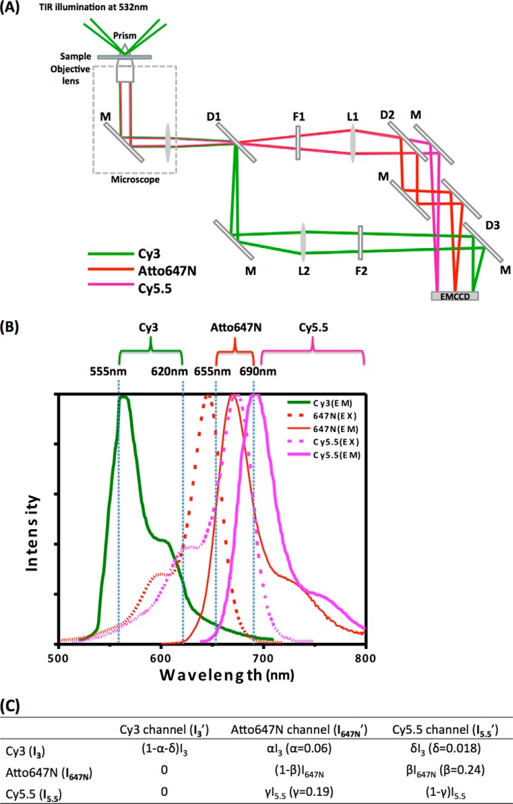 FIGURE 2.