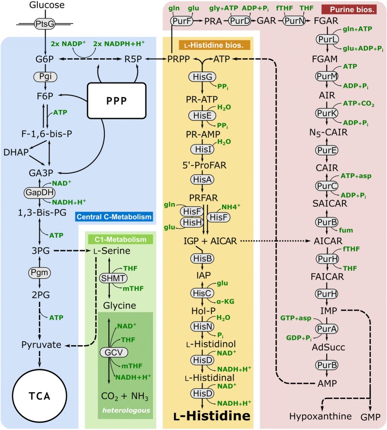 Fig. 1