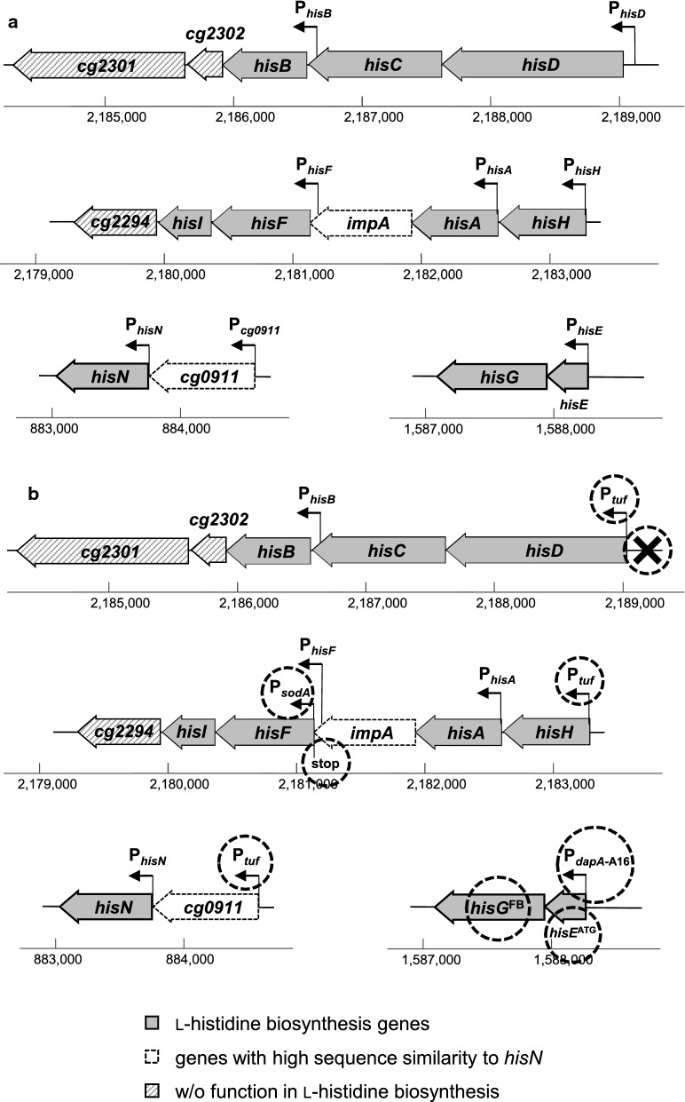 Fig. 7