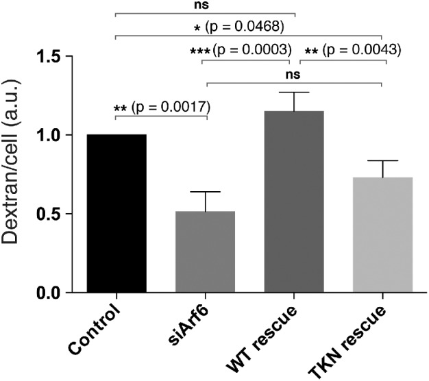 FIGURE 6: