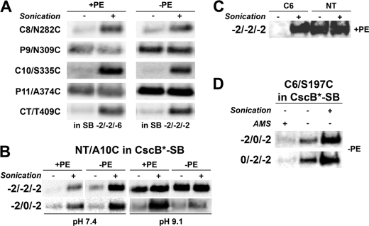 FIGURE 6.