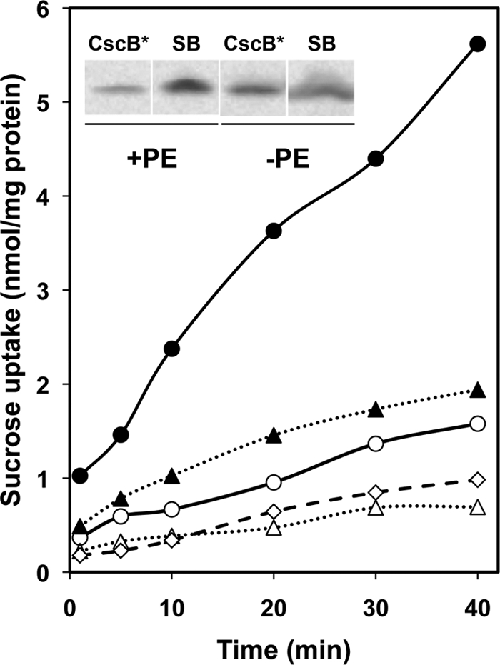 FIGURE 3.