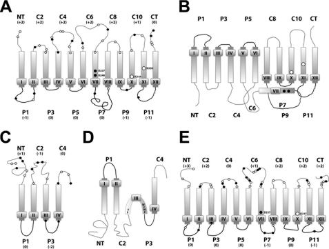 FIGURE 1.