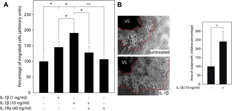 Fig. 2