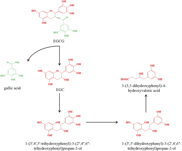 Fig. 3