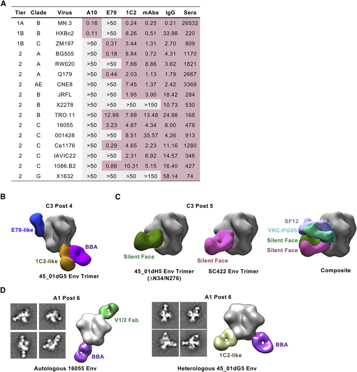 Figure 7