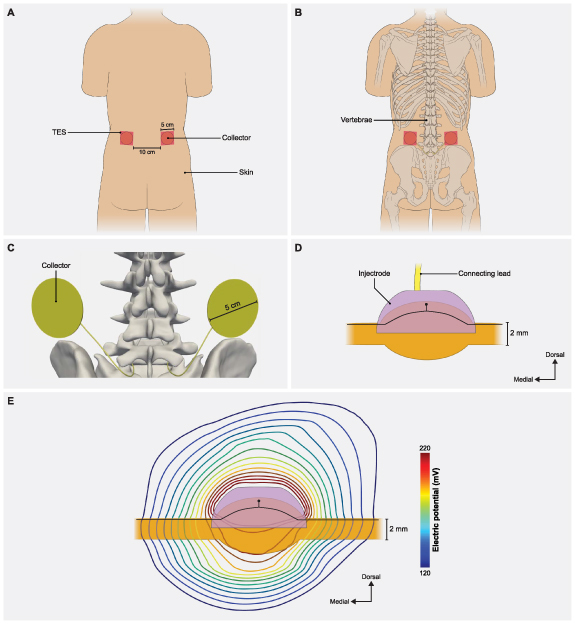 Figure 5.