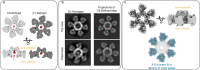 Extended Data Fig. 10