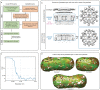 Extended Data Fig. 4