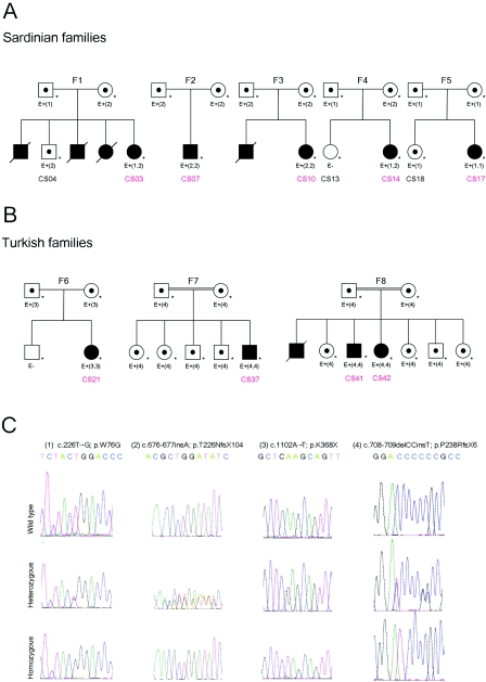 Figure  2. 