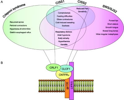 Figure  6. 