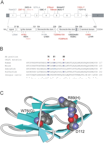 Figure  5. 