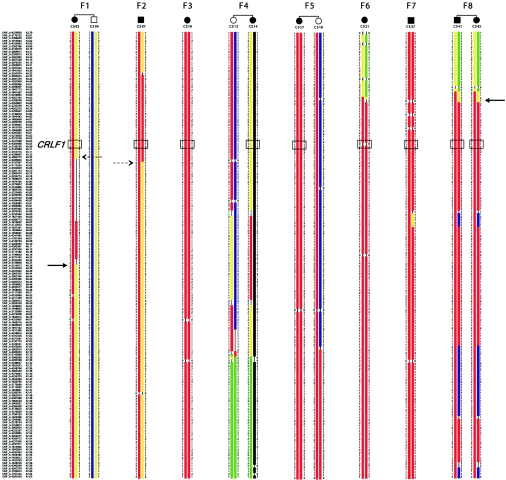 Figure  4. 