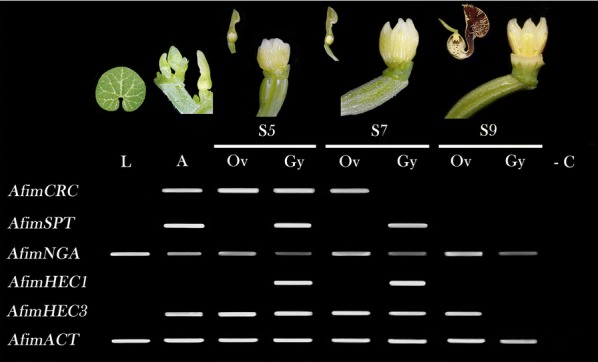 Fig. 2