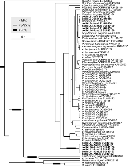 FIG. 6.