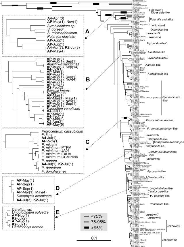 FIG. 5.