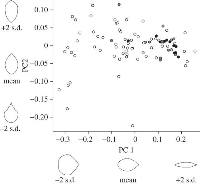 Figure 3.