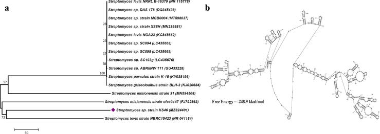 Fig. 4