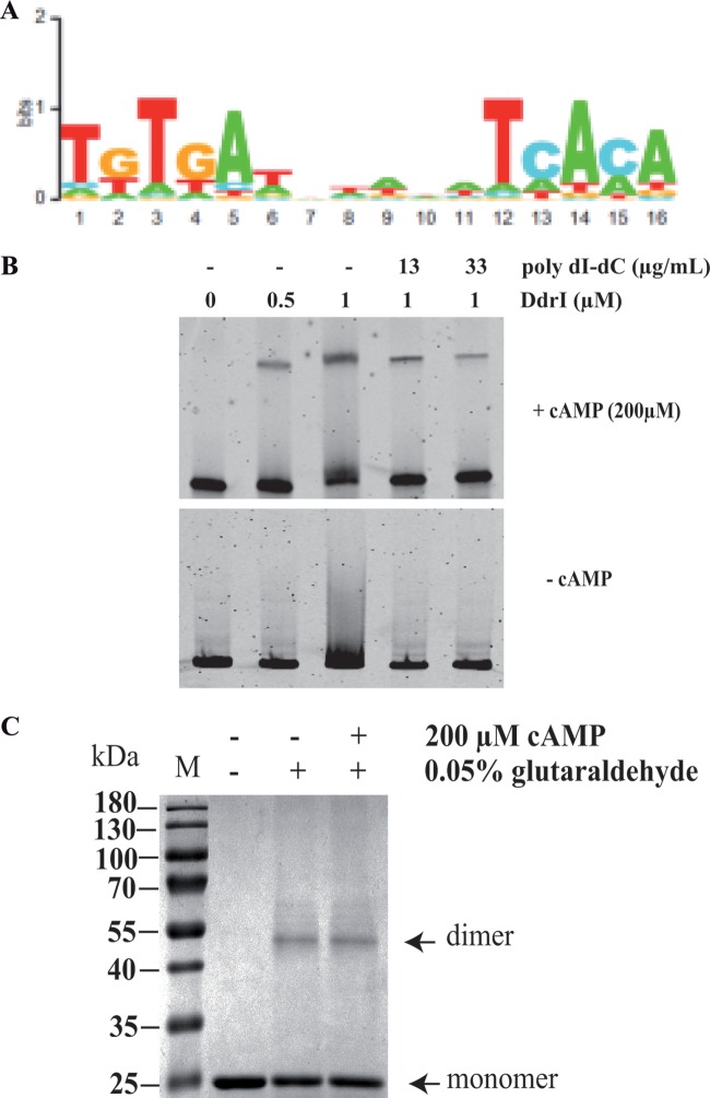 FIG 3