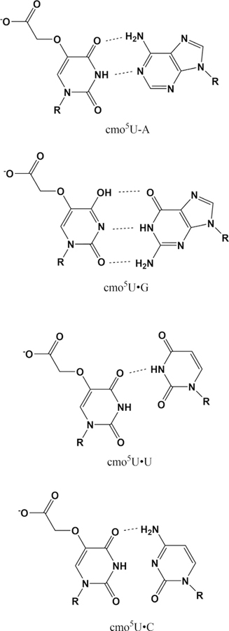 FIG 3