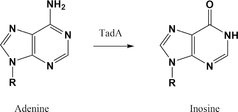 FIG 6