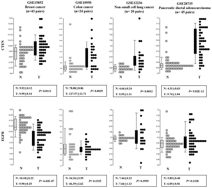 CTEN prolongs signaling by EGFR through reducing its ligand-induced ...