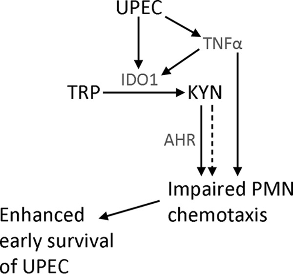 FIG 7