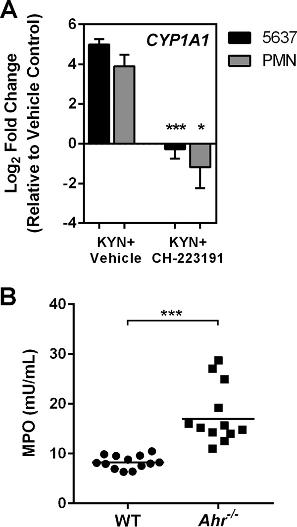 FIG 6