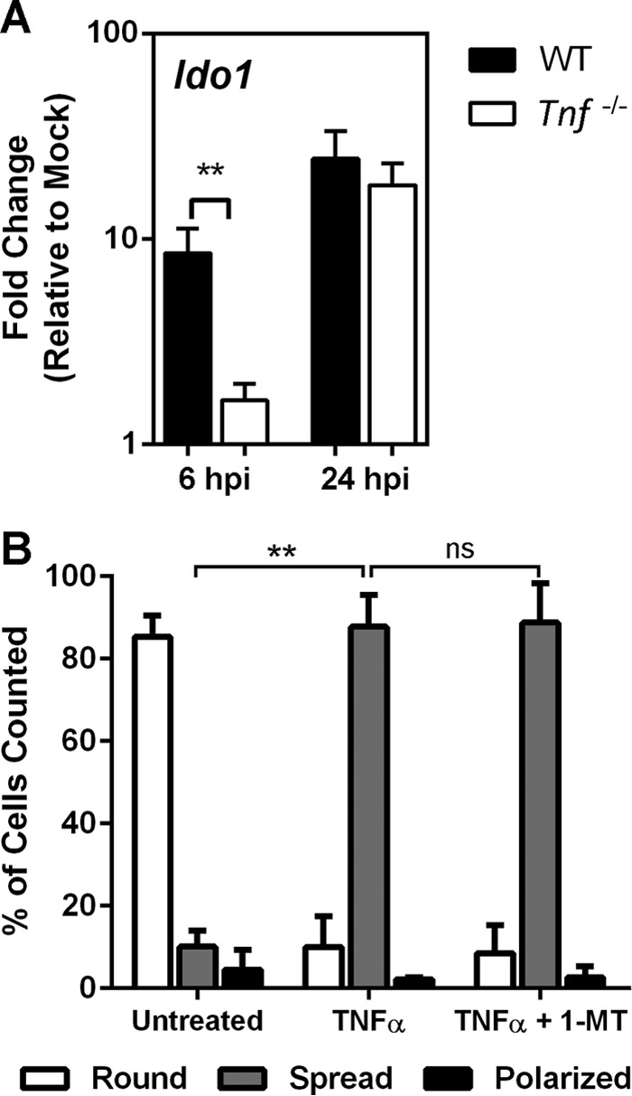 FIG 5